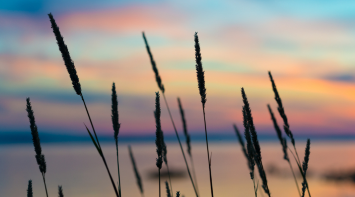 summer sunset in ny state to welcome august