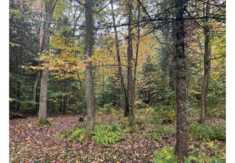 Tug Hill NY land for sale