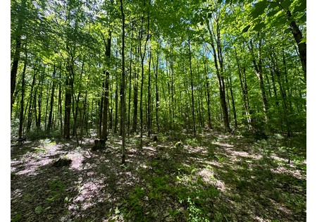 NY land for sale 