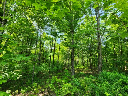 NY hunting land for sale