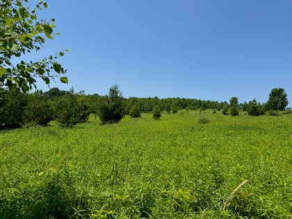 NY land for sale