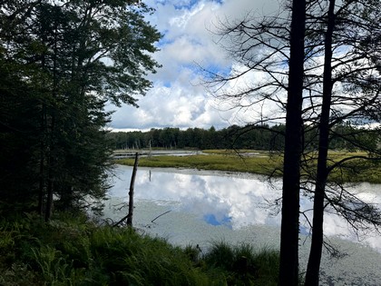 Adirondack riverfront land for sale