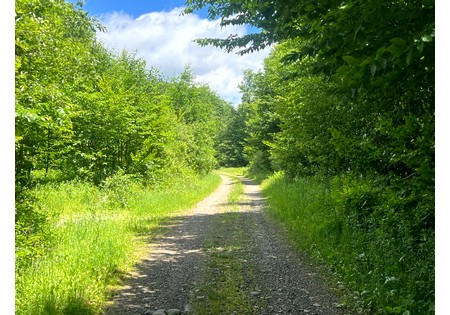 Land NY bordering state land for sale