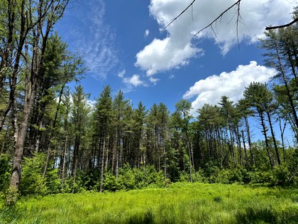 land for sale NY