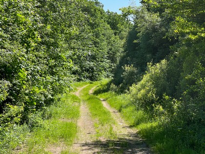 Adirondack land for sale