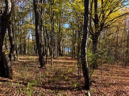 Chenango county NY land for sale