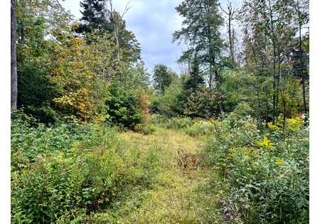 Tug Hill NY land for sale