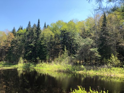 Adirondack NY land for sale