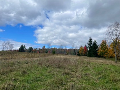 NY land for sale southern tier