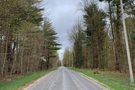 hunting land for sale in vienna ny stone barn state forest from land and camps