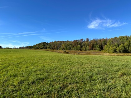NY Southern Tier hunting land for sale