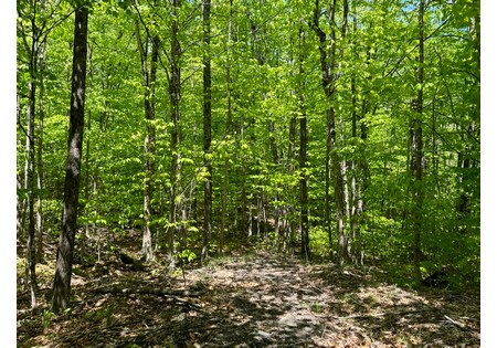 Adirondack land for sale