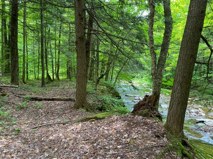 NY waterfront land for sale on Prince Brook