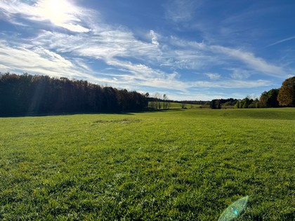 NY Southern Tier hunting land for sale