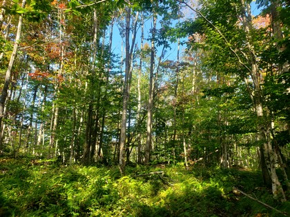 NY land for sale near Adirondacks