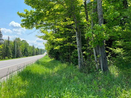 Adirondack land for sale