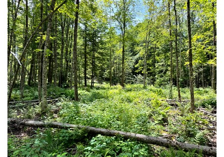 NY land for sale