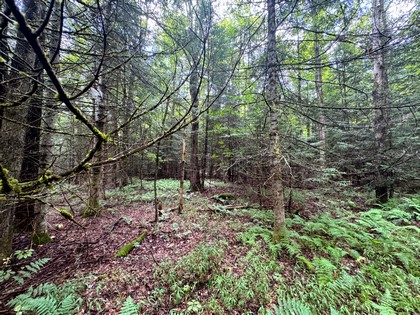 Adirondack land for sale NY