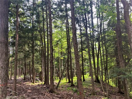 Meadows and woodlands - beautiful building lot in Florence NY near Mad River State Forest.
