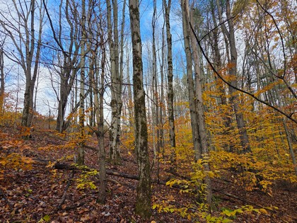 land for sale NY