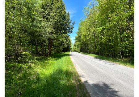 Land for sale near Oneida Lake NY