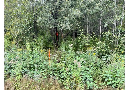 NY land for sale
