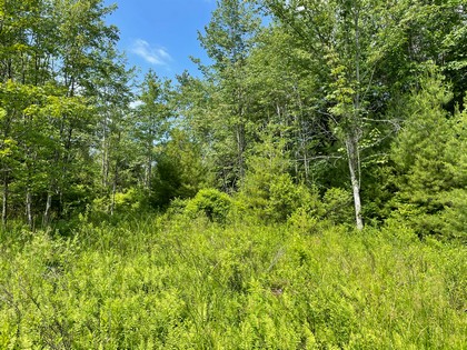 NY land for sale Vienna NY