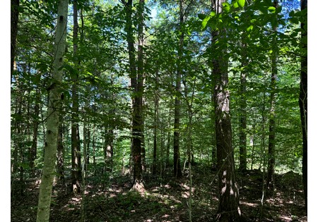 NY hunting land for sale