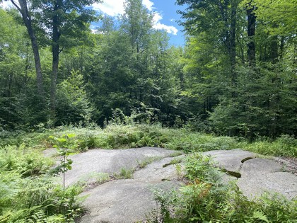 NY camps for sale