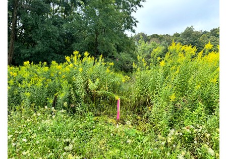 Finger Lakes NY land for sale