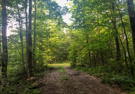 land camp for sale osceola ny