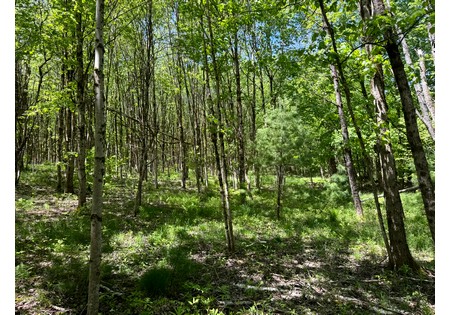 NY hunting land for sale