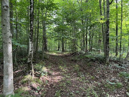 NY hunting land for sale