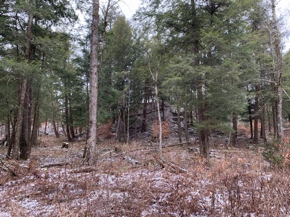 Adirondack NY land for sale in Diana NY