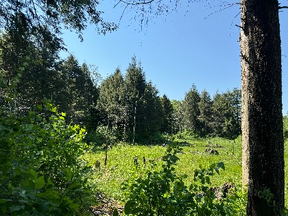 NY hunting land for sale