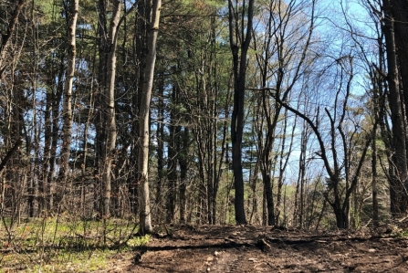 hunting land for sale in williamstown ny bartley acres from land and camps