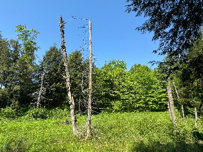 NY waterfront land for sale
