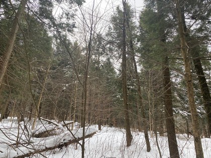 NY hunting land for sale in New Lisbon NY