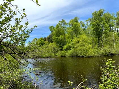 NY waterfront land for sale