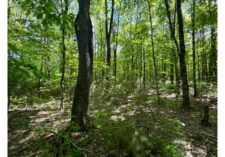 NY land for sale 