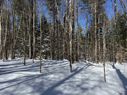 NY land for sale