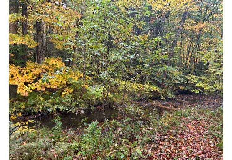Tug Hill NY land for sale