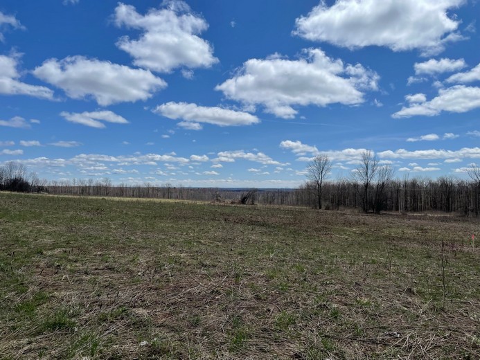 New York Land For Sale Hunting Lands, Waterfront Land Land and