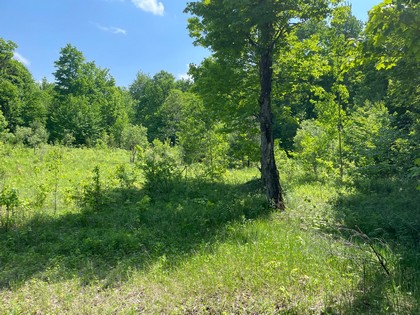 Adrondack hunting land for sale NY