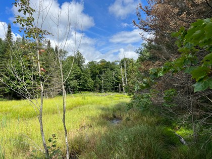 NY snowmobiling land for sale, land and snowmobile camps, ny properties, christmas associates