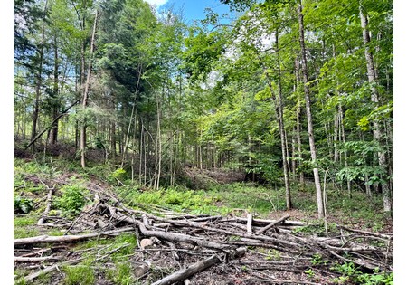 NY hunting land for sale