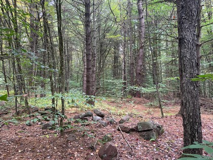 Oneida Lake Area - NY Land for Sale