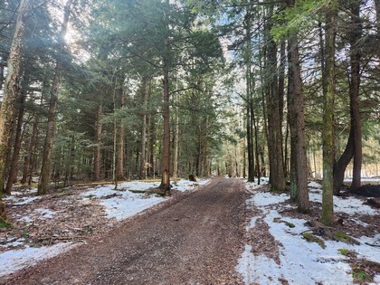 NY land for sale