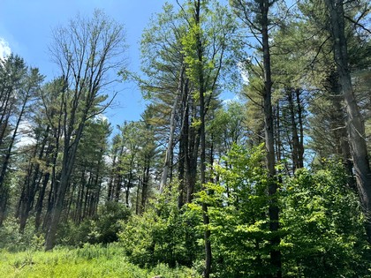 land for sale NY