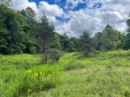 NY waterfront land for sale, land and camps, ny waterfront properties, ny lakefront land, christmas associates
